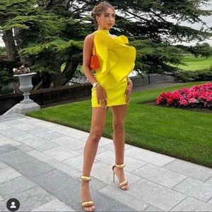 NWT Zara Limited Edition Voluminous Mini Dress